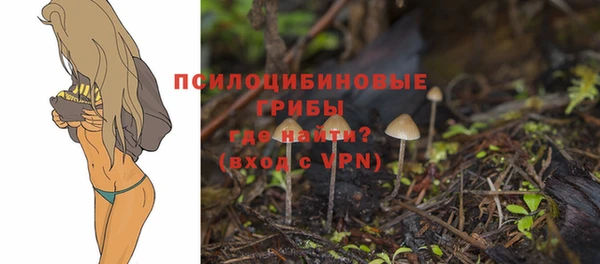 экстази Алексеевка