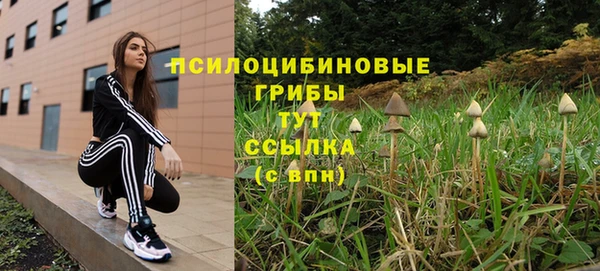 ALPHA-PVP Абинск