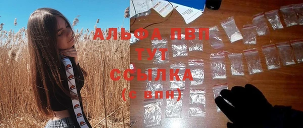 тгк Абаза