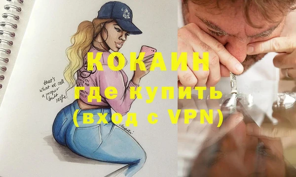 тгк Абаза