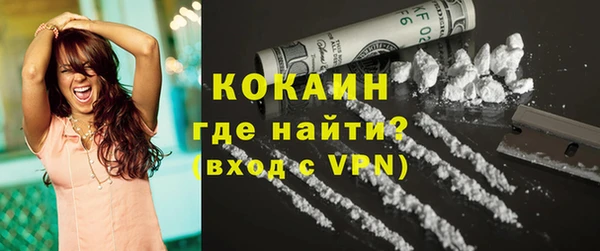 тгк Абаза