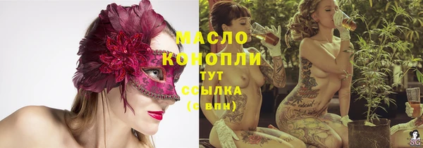 тгк Абаза