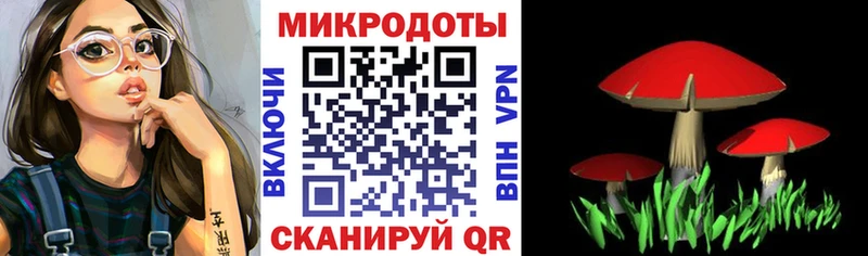купить наркотик  Чишмы  Псилоцибиновые грибы Psilocybe 